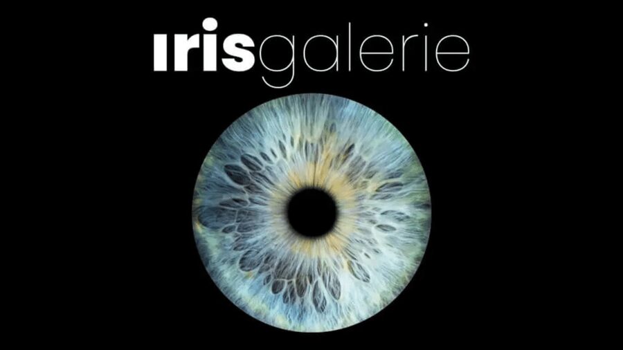 Tromsø: Reveal Your Eye Experience at the Iris Galerie - Seeing Tromsø Through Your Own Eyes