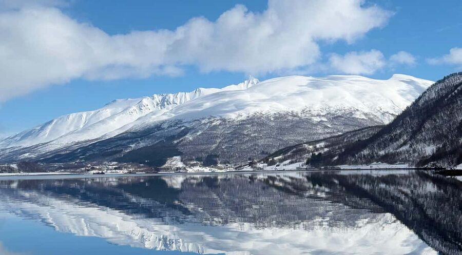 Tromsø’s Top-Rated Fjord & Fishing Cruise – All-Inclusive - Key points to know before booking