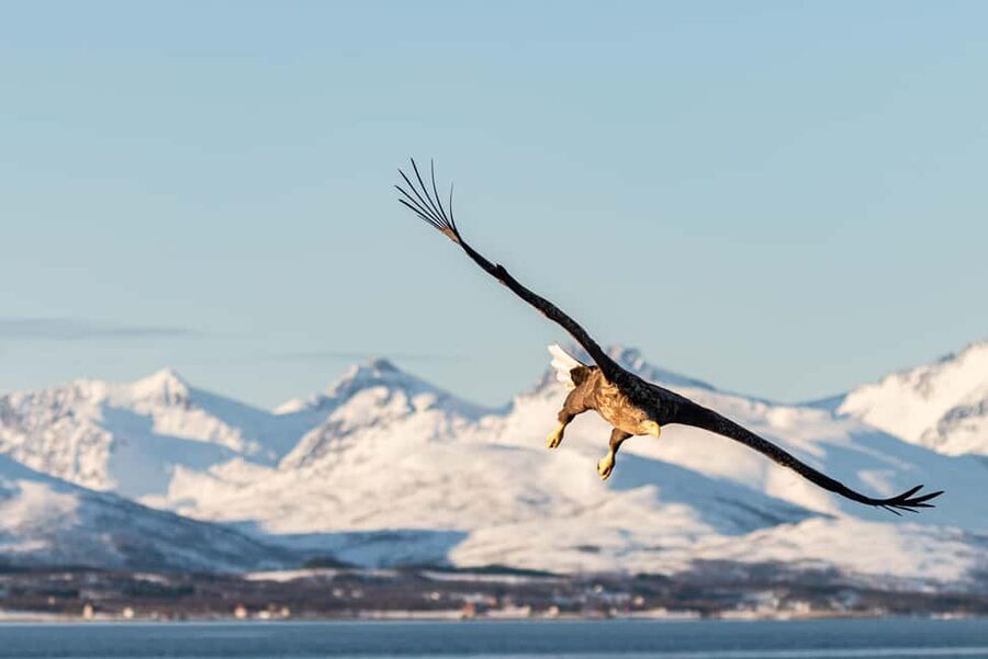 Tromsø’s Top-Rated Fjord & Fishing Cruise – All-Inclusive - Practical tips for a better day on the water