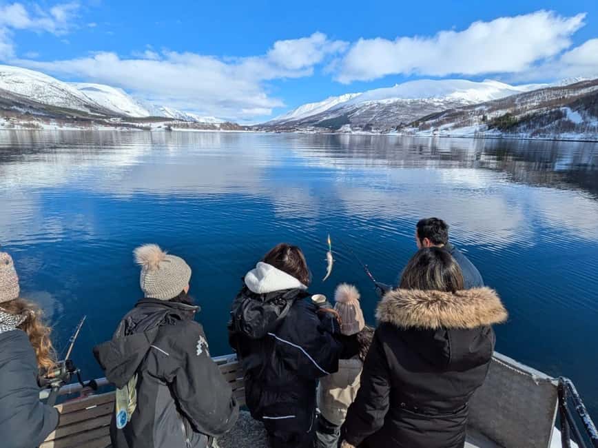 Tromsø’s Top-Rated Fjord & Fishing Cruise – All-Inclusive - Rya Island and the first wildlife watch