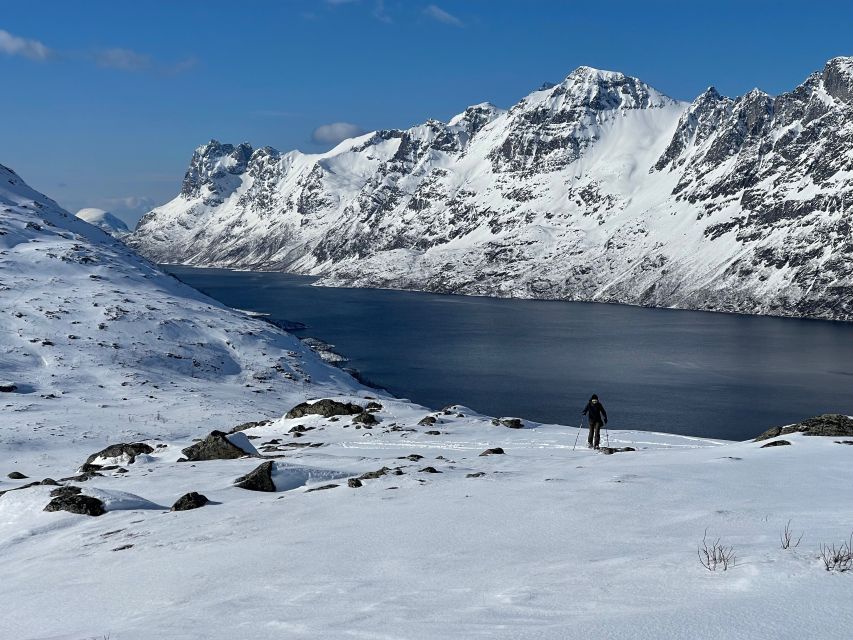 Tromso: Scenic & Eco-Friendly Snowshoeing Tour - Wildlife, village life, and local stories