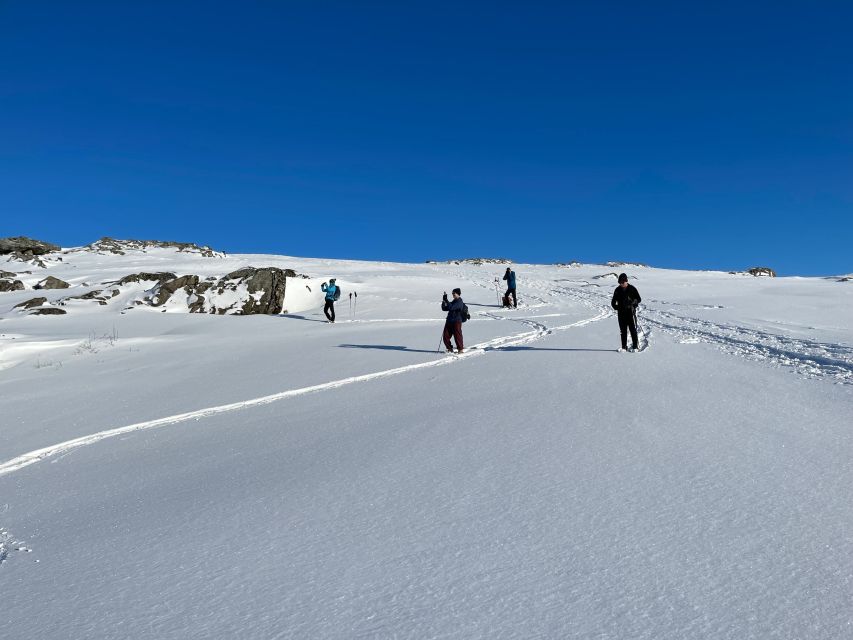 Tromso: Scenic & Eco-Friendly Snowshoeing Tour - Who should book this snowshoe tour?