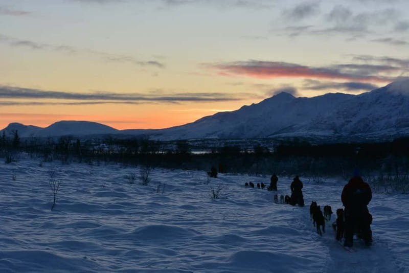 Tromsø: Self-Drive Husky Dog Sledding Adventure - Is $328 a fair price?