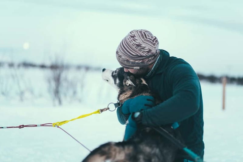 Tromsø: Self-Drive Husky Dog Sledding Adventure - Who should book this experience?