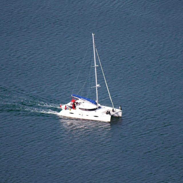 Tromso: Sightseeing Cruise by Catamaran with Snacks & Drinks - Stories about the Tirpitz, fishing, and Kvaløya