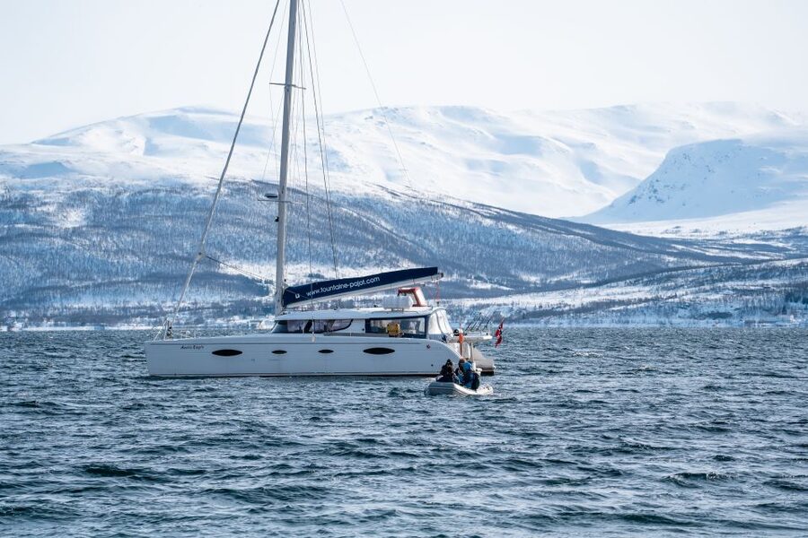 Tromso: Sightseeing Cruise by Catamaran with Snacks & Drinks - Timing, language, and cancellation details