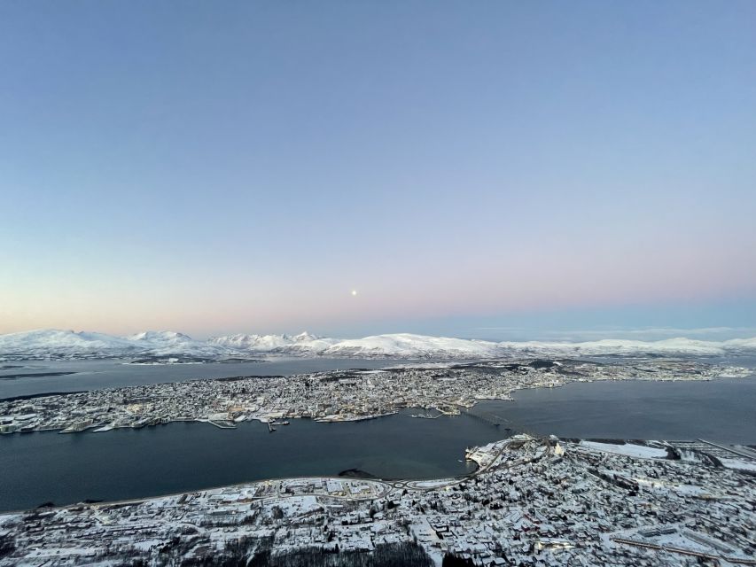 Tromso: Sightseeing Cruise by Catamaran with Snacks & Drinks - Finding the best view on a 360-degree boat