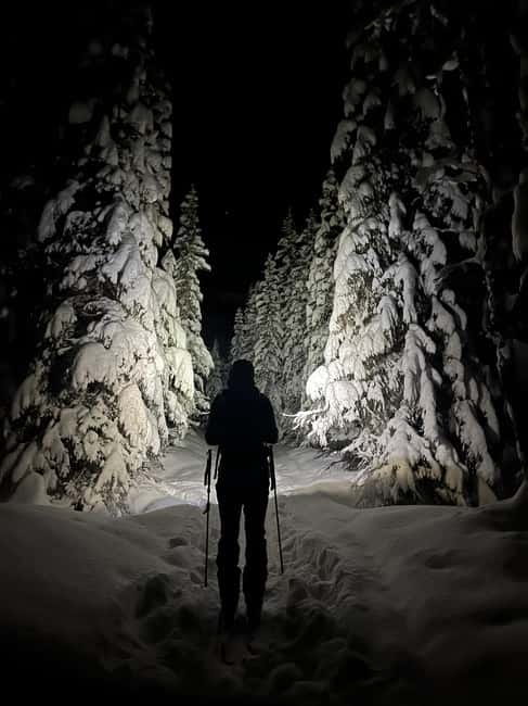 Tromsø: Ski touring (ski de randonnee) - The uphill route and the changing Arctic light