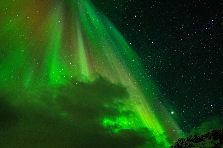Tromsø: Small-Group Adventurous Northern Lights Hunt - Campfire, hot drinks, and the human side of the night