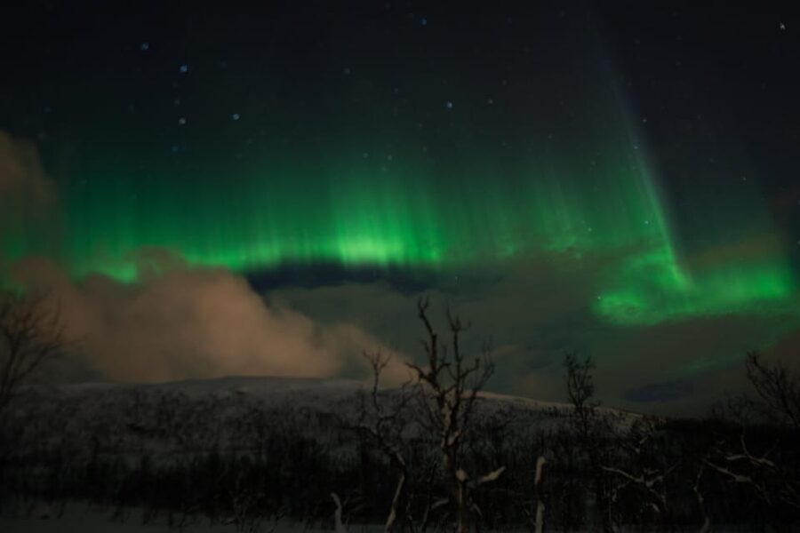 Tromsø: Small-Group Adventurous Northern Lights Hunt - What $118 buys you