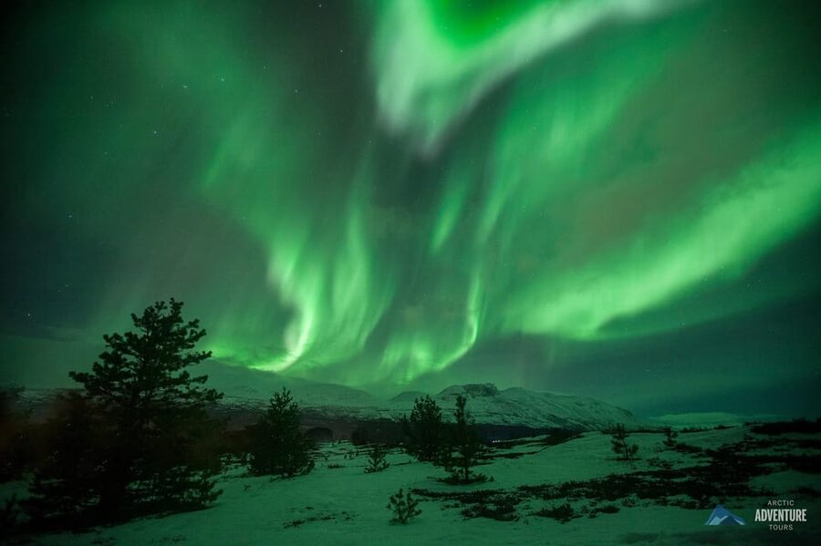 Tromsø: Small Group Northern Lights Hunt - Practical details worth sorting out