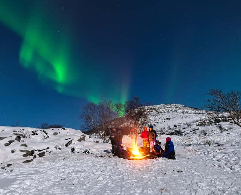 Tromsø: Small Group Northern Lights Hunt - Why this Tromsø aurora chase works differently