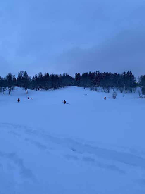 Tromsø: Snow Sledding, Mini Skiing, Lasso and Reindeer Hides - What can make the outing less enjoyable