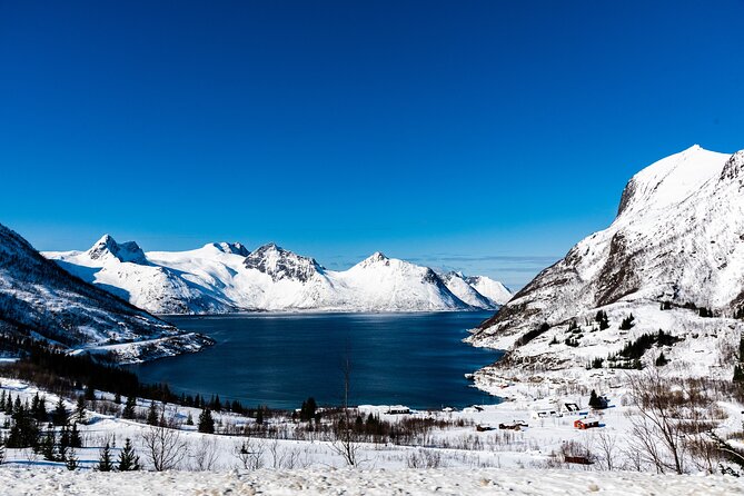 Tromso-Snowshoeing Excursion to Viewpoint - Why this snowshoe walk fits Tromsø so well