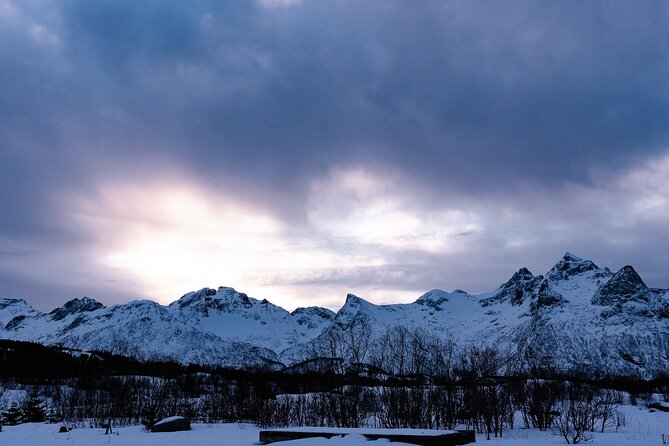 Tromso-Snowshoeing Excursion to Viewpoint - Returning to the vehicle and Tromsø