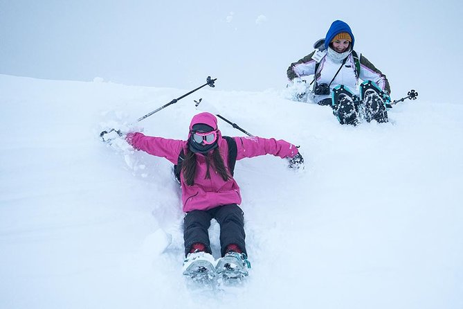 Tromso Snowshoeing - Valley, Fjord Views, Wildlife, Meal & Pickup - Snowshoes are useful, but not guaranteed