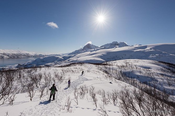 Tromso Snowshoeing - Valley, Fjord Views, Wildlife, Meal & Pickup - Fjord views depend on the day