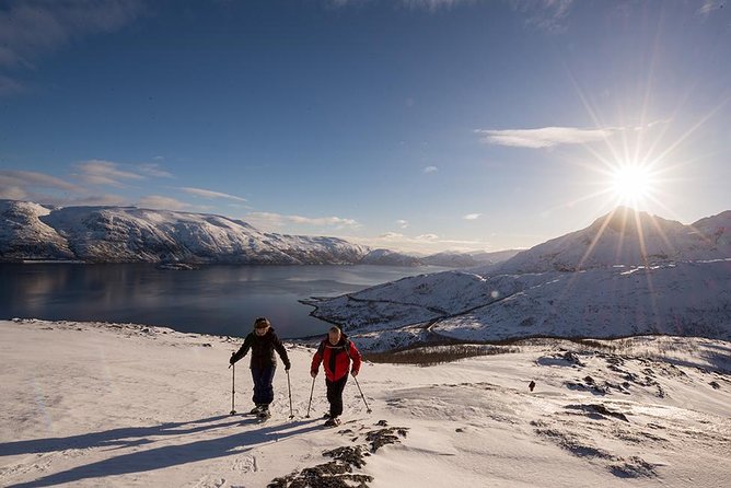 Tromso Snowshoeing - Valley, Fjord Views, Wildlife, Meal & Pickup - Reindeer, moose, and a closer look at Arctic nature