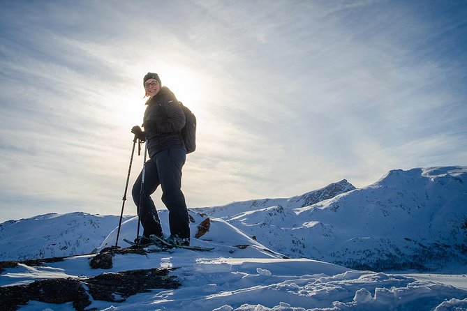 Tromso Snowshoeing - Valley, Fjord Views, Wildlife, Meal & Pickup - Lunch at the top, or a picnic in the wild