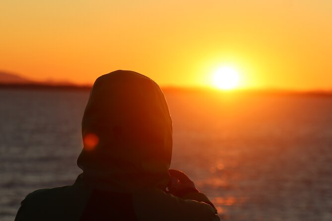 Tromsø & Sommarøy - Private coastal tour with a local - What the private format is worth
