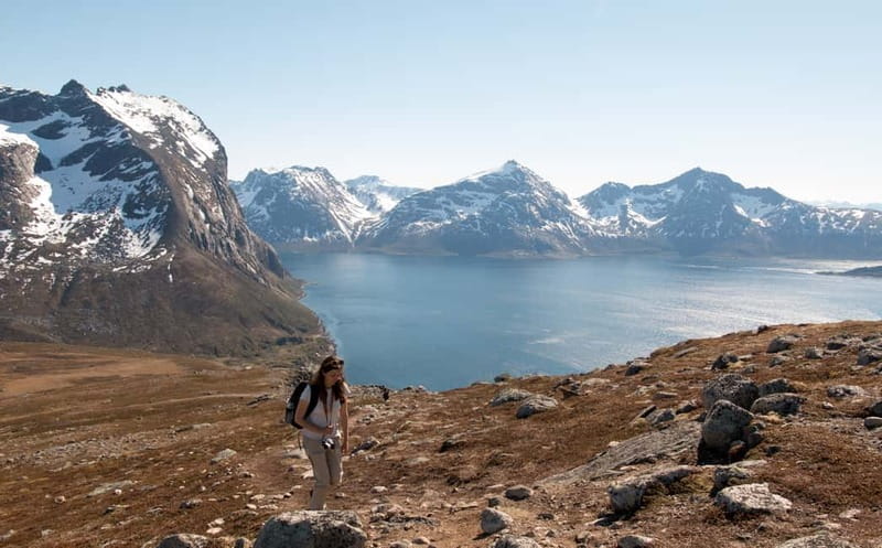 Tromsø: Summer Day Hike in the wilderness - Key points to know before you book