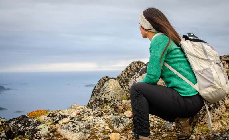 Tromsø: Summer Day Hike in the wilderness - Four hours, with equipment and photos included