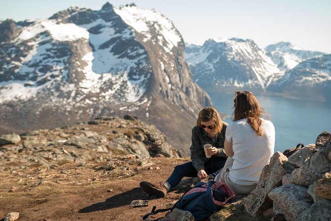 Tromsø: Summer Day Hike with Wandering Owl - Key points to know before you book