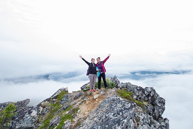 Tromsø: Summer Day Hike with Wandering Owl - Who should choose this Tromsø hike?