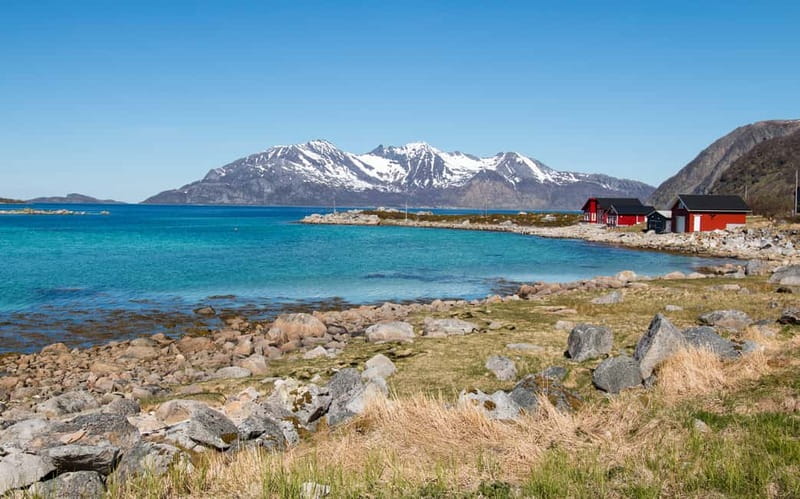 Tromsø: Summer Fjord Road Trip with Citizen Science - The picnic brings the group together