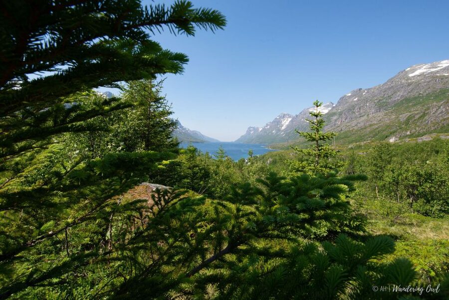 Tromsø: Summer Fjord Road Trip with Citizen Science - Citizen science by the water