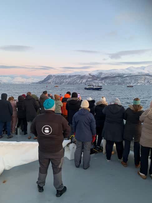 Tromsø Whale Safari with MS Keiser Wilhelm - Key points to know before you go