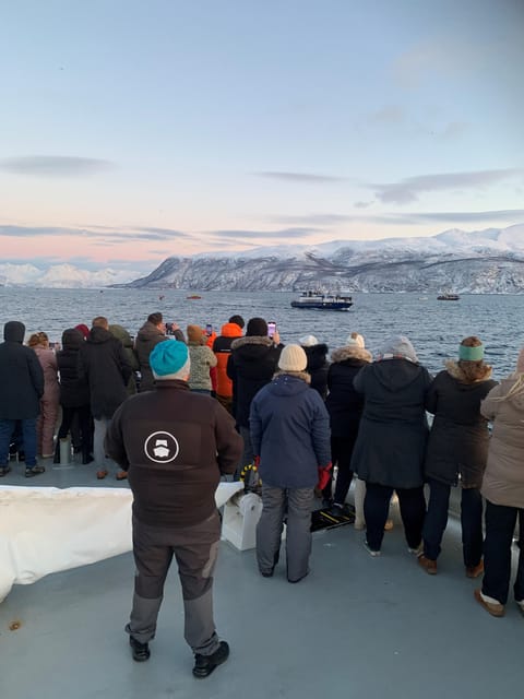 Tromsø Whale Safari with MS Keiser Wilhelm - Arctic scenery on the way back