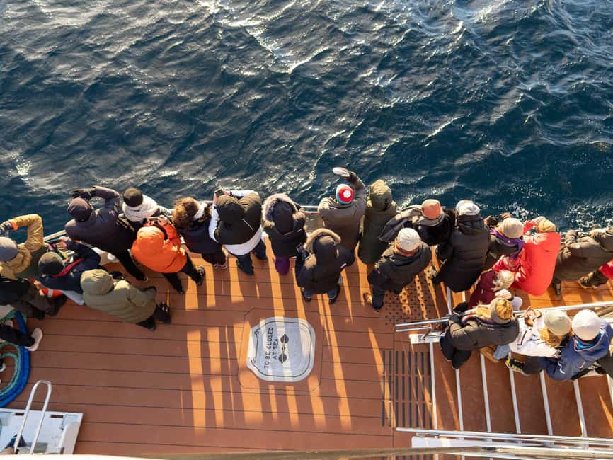 Tromsø: Whale Watching Tour by Hybrid-Electric Boat - Is $195 a fair price?
