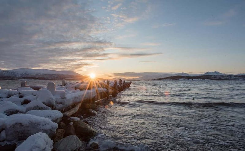 Tromsø: Winter Fjord Road Trip with Citizen Science - Key points to know before booking