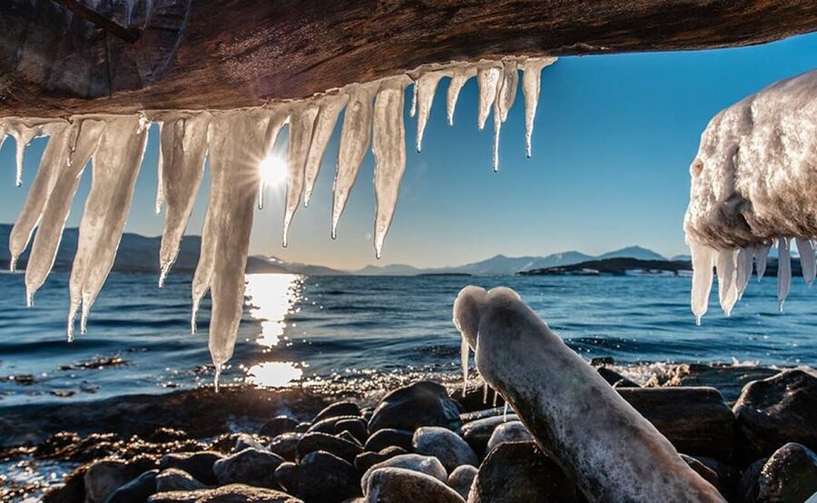 Tromsø: Winter Fjord Road Trip with Citizen Science - A homemade Arctic picnic by the coast