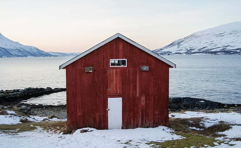 Tromsø: Winter Fjord Road Trip with Citizen Science - Who will enjoy this trip most?