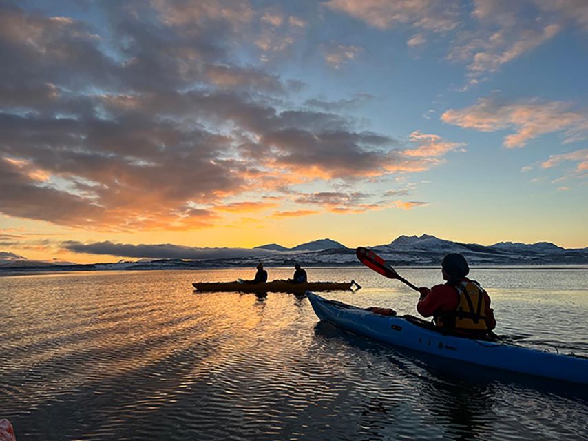Tromsø: Winter Sea Kayaking Tour with Wildlife Sightings - Why winter kayaking works in Tromsø