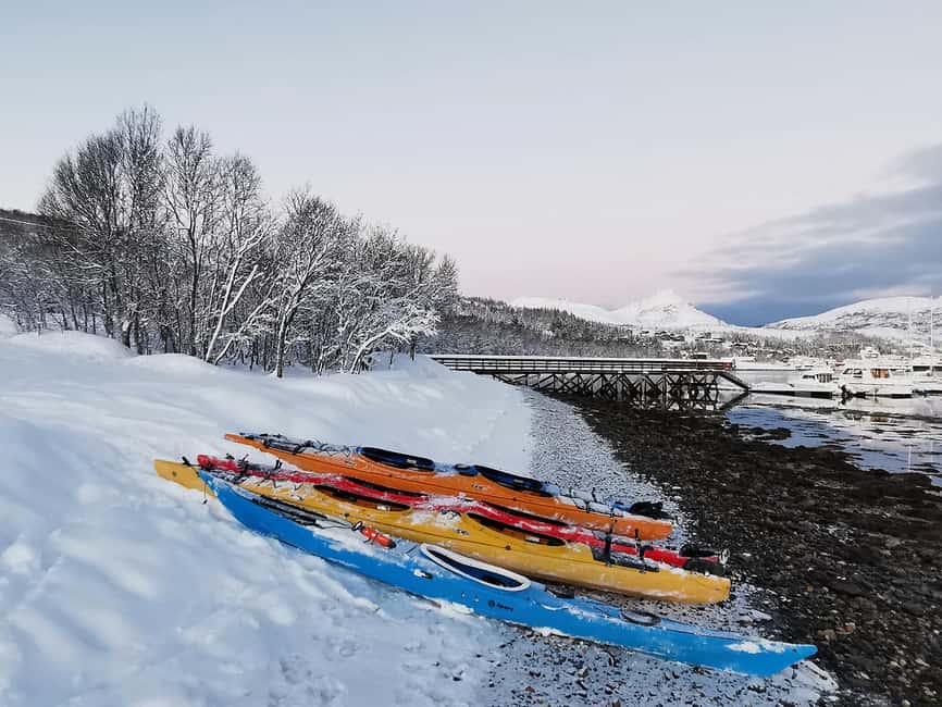 Tromsø: Winter Sea Kayaking Tour with Wildlife Sightings - Paddling among snowy islands and peaks
