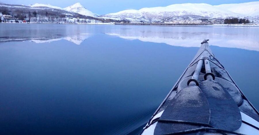 Tromsø: Winter Sea Kayaking Tour with Wildlife Sightings - Price, timing, and practical value