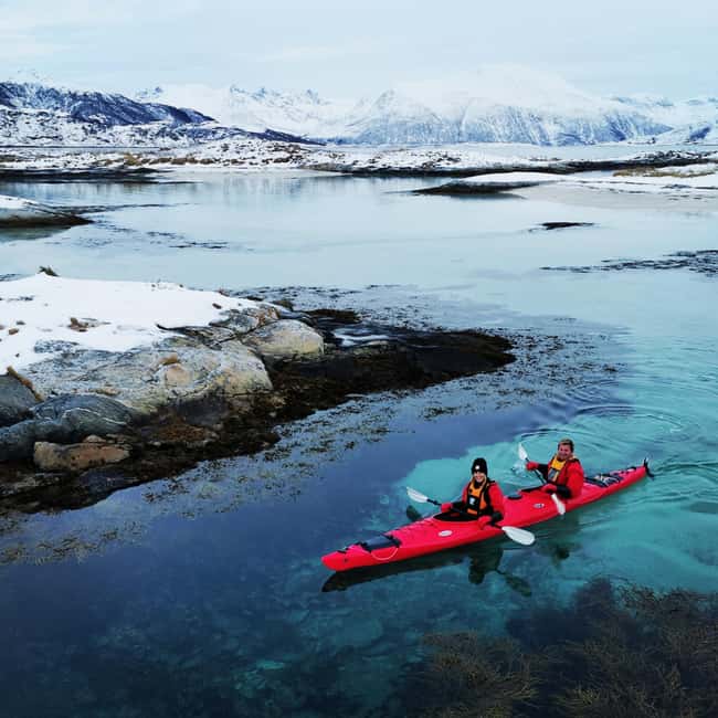 Tromsø: Winter Sea Kayaking Tour with Wildlife Sightings - Who should book this Tromsø kayak tour?