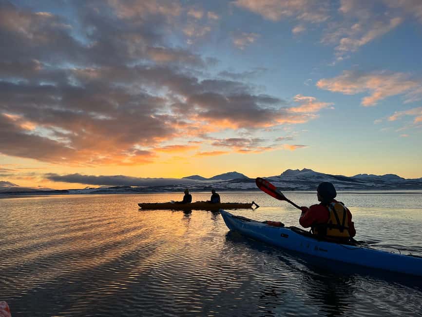 Tromsø: Winter Sea Kayaking Tour with Wildlife Sightings - Should you book it?