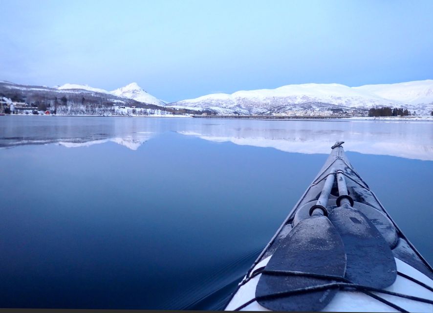 Tromsø: Winter Sea Kayaking Tour with Wildlife Sightings - From Tromsø pickup to the warm basecamp