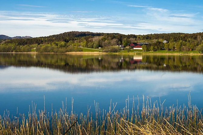 Trondheim Private Walking Tour with a Local - Seeing the main sights at your pace