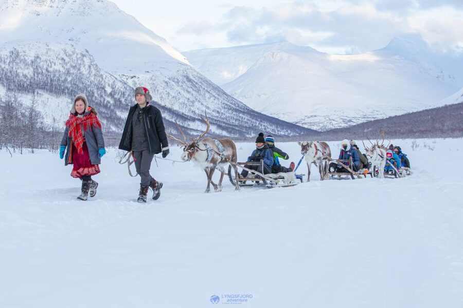 True Locals of the Arctic: Reindeer Sledding at Camp Tamok - The 90-minute bus ride from Tromsø