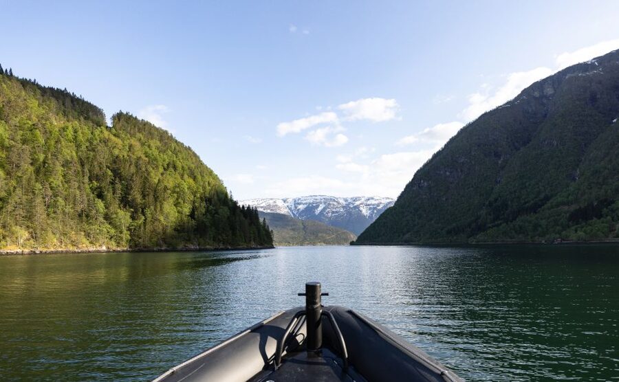 Ulvik: Hardangerfjord Ultimate RIB Tour - Is $141 a fair price?