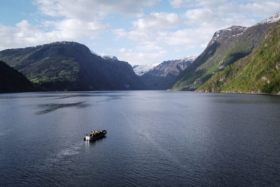 Ulvik: Hardangerfjord Ultimate RIB Tour - Passing beneath the Hardanger Bridge