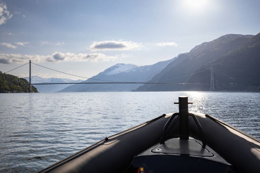 Ulvik: Hardangerfjord Ultimate RIB Tour - Simadalsfjord, waterfalls, and the force of nature