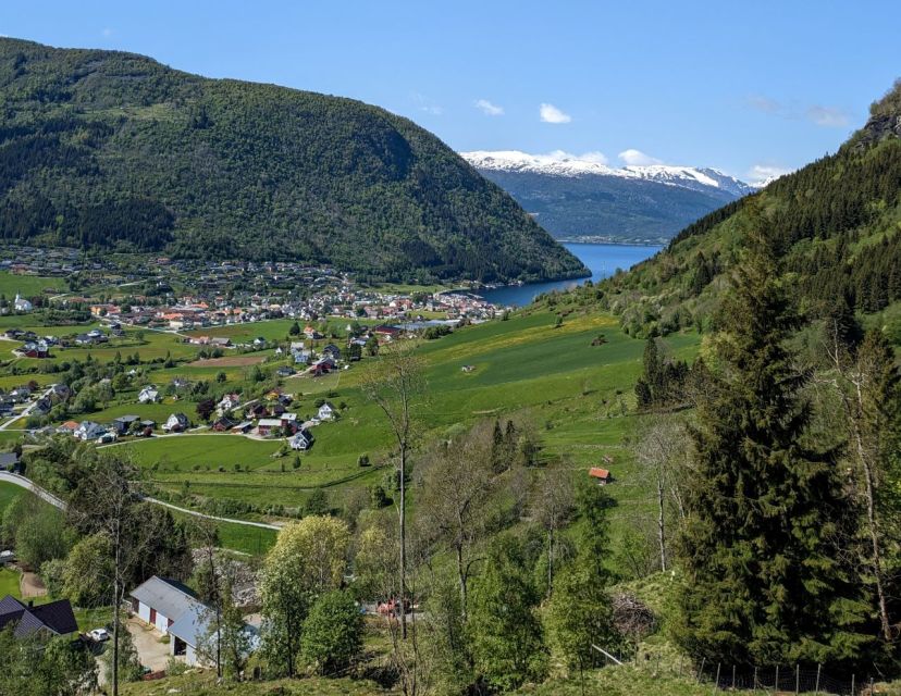 Vik i Sogn: Authentic Farm Visit - Steim Farm and the Sognefjord Setting