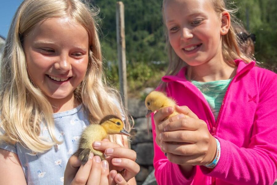 Vik i Sogn: Authentic Farm Visit - A Tour Built Around Animal Choice
