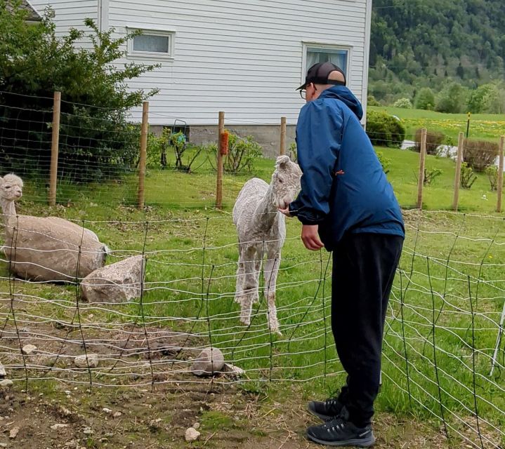 Vik i Sogn: Authentic Farm Visit - Smart Ways to Plan Your Visit